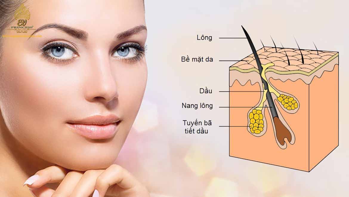 Lỗ chân lông Lỗ chân lông