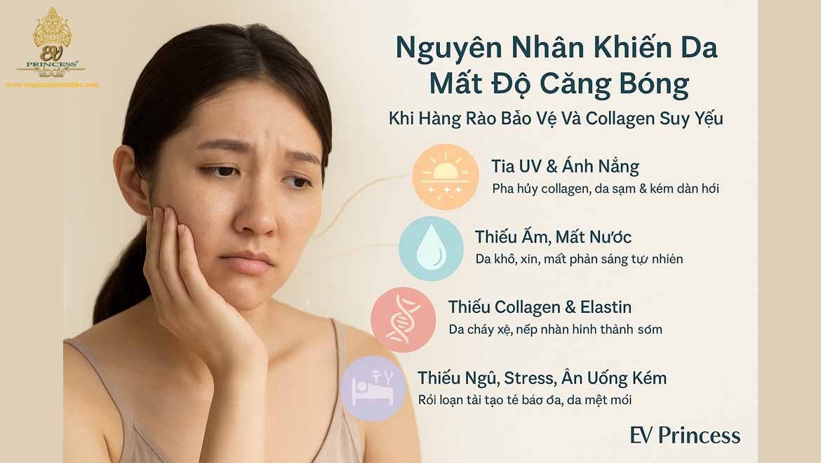 Hàng rào bảo vệ da, Cấu trúc hàng rào da, Lớp sừng da, Chức năng hàng rào da, Lipid biểu bì, Ceramides da Hàng rào bảo vệ da, Cấu trúc hàng rào da, Lớp sừng da, Chức năng hàng rào da, Lipid biểu bì, Ceramides da