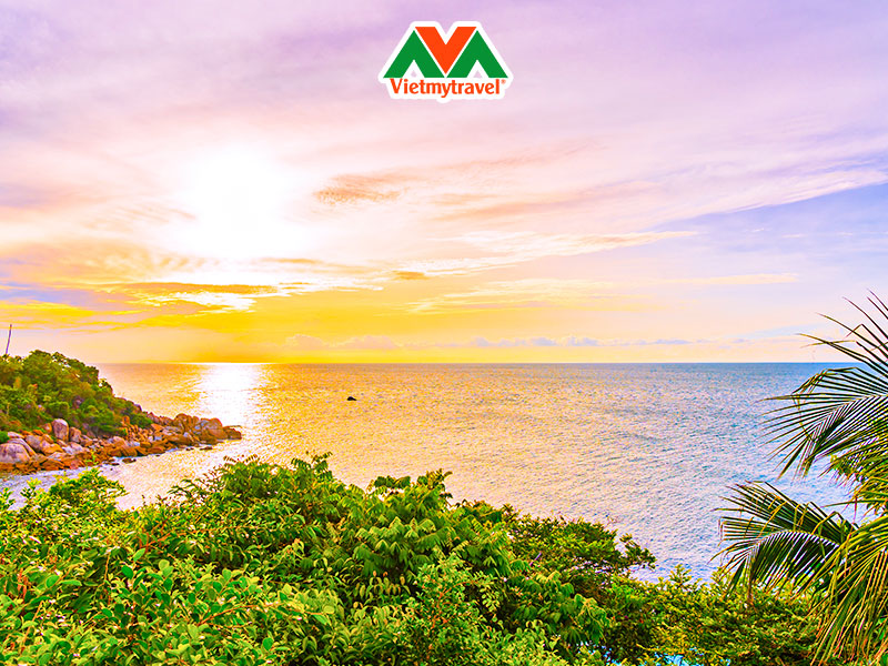 Thiết bị RF thẩm mỹ Thiết bị RF thẩm mỹ